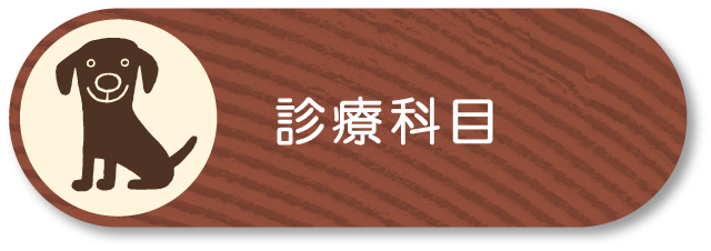 診療科目